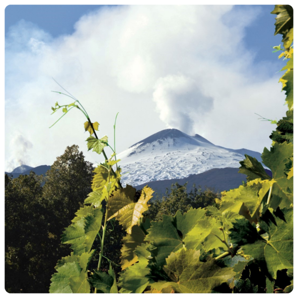 Tour Etna ed enologico