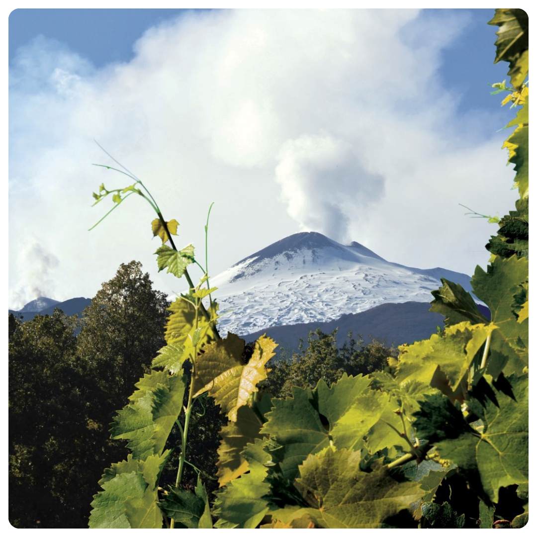 Tour Etna ed enologico