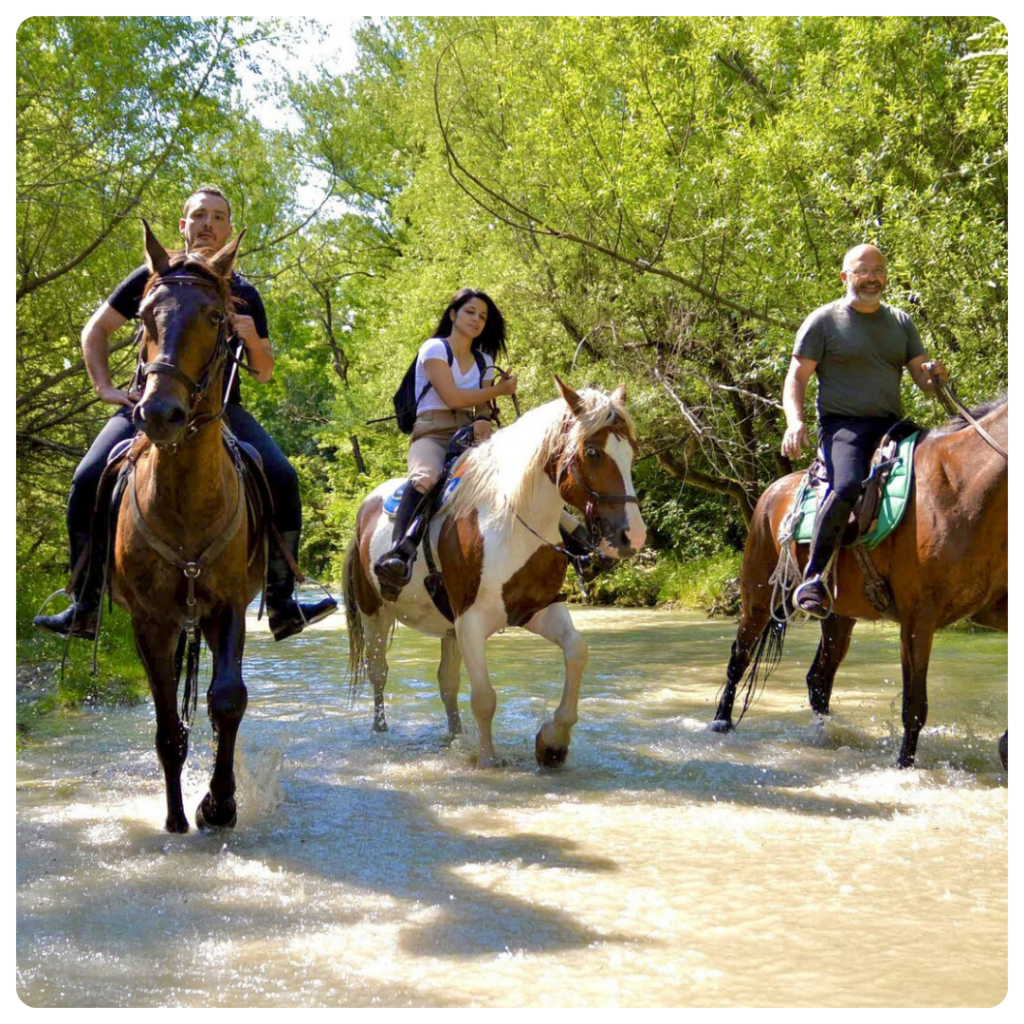 Escursione a cavallo sulle montagne