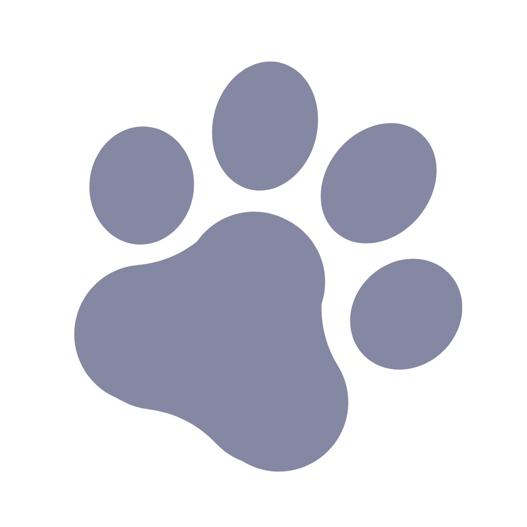 Animali domestici